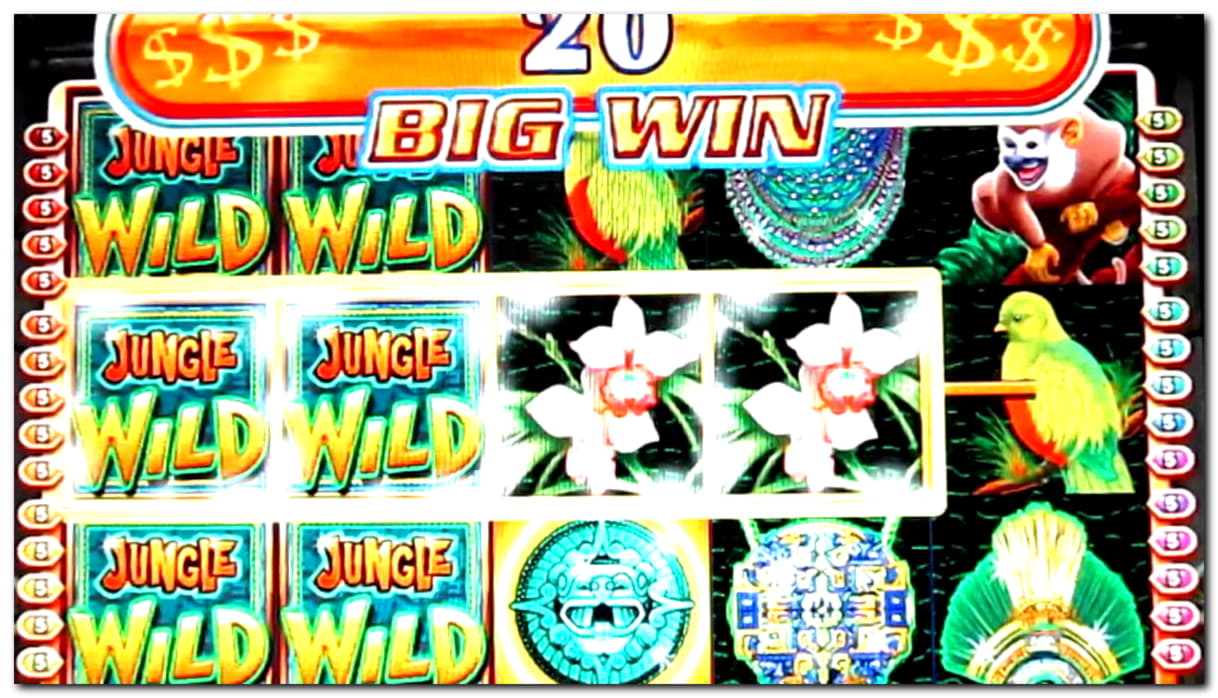 80% Signup casino bonus at Inter Casino