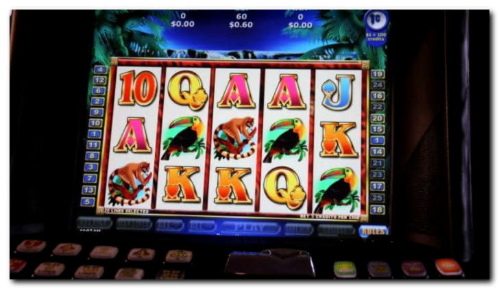 300% First deposit bonus at Sloty Casino