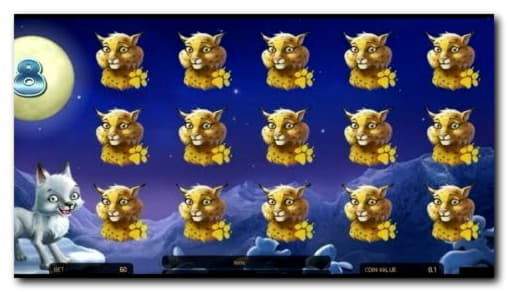 $620 Online Casino Tournament at Spinrider Casino