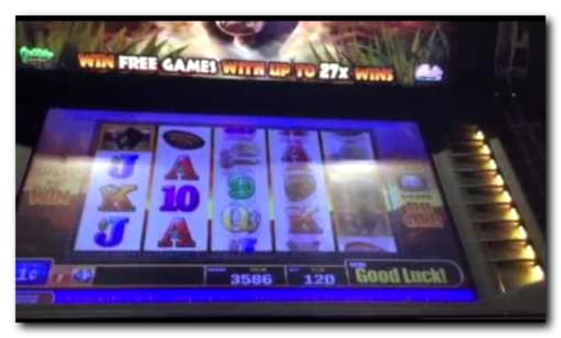 395% First deposit bonus at Gamebookers Casino