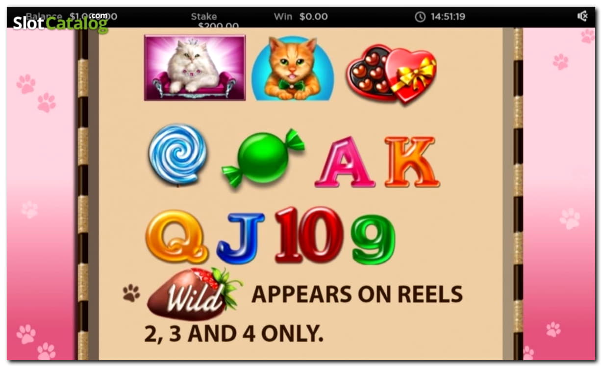 170 free casino spins at Spinrider Casino