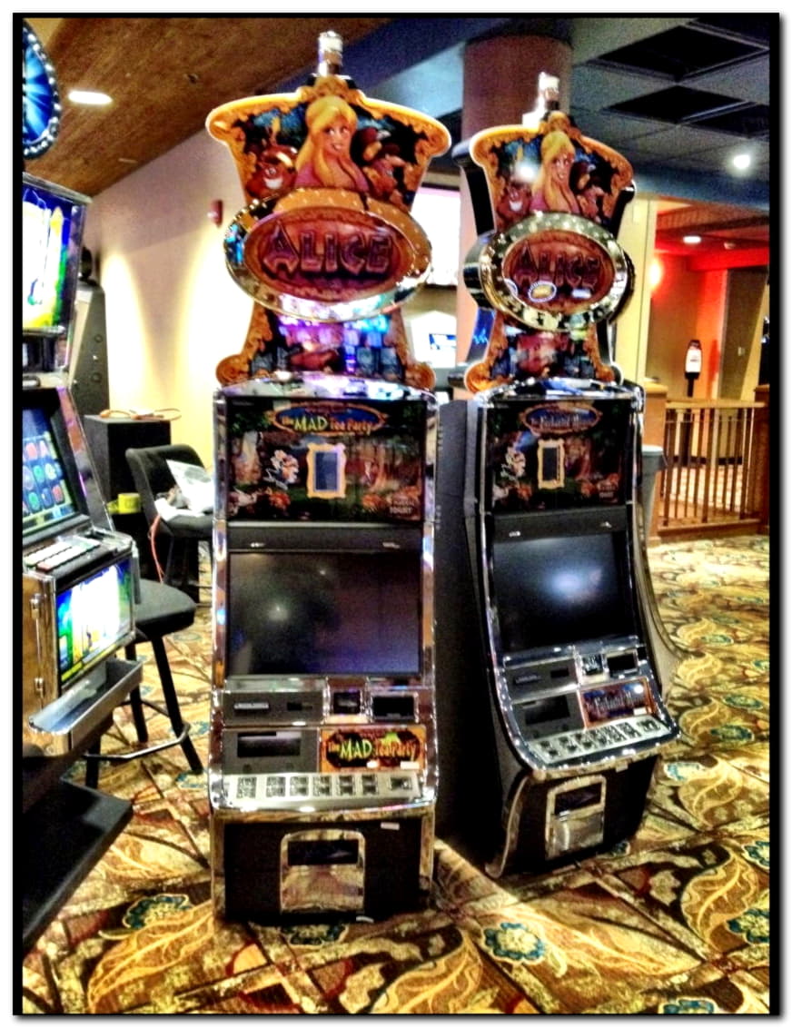 125 Free spins no deposit casino at Spin Palace Casino